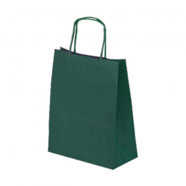 BUSTE 26X12X36 VERDE REX Pz.25