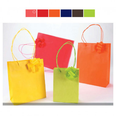 SVELTOSHOPPER 36X12X41 LARGE XMAS Pz.10